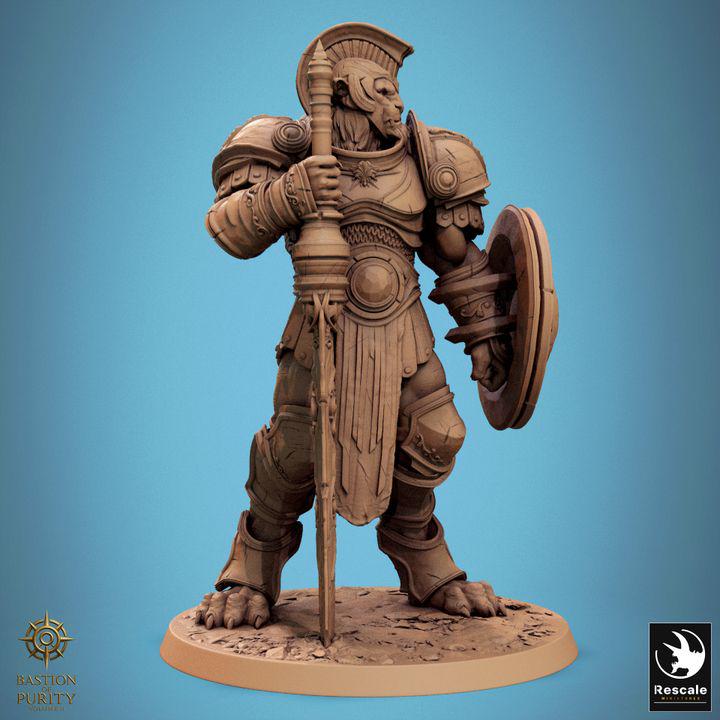Pack The Radiant Legion - Impreso en 3D / Fantasía / El Señor de los Anillos / Dragones y Mazmorras / Pathfinder / DND / Miniatura