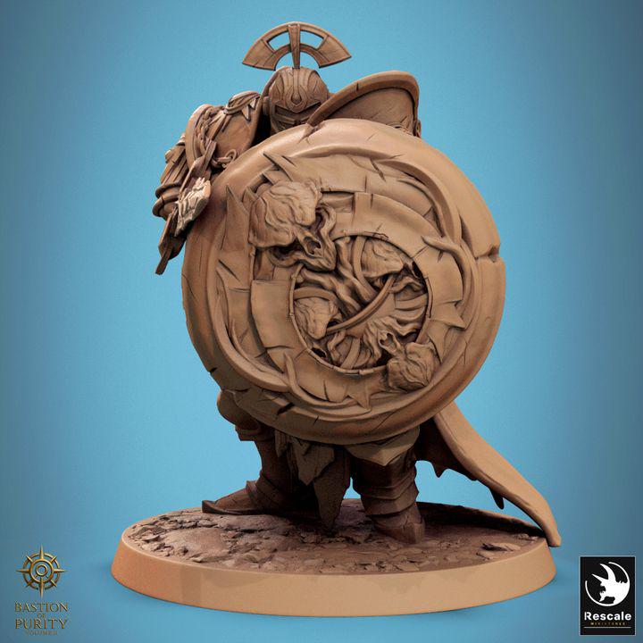 Pack The Radiant Legion - Impreso en 3D / Fantasía / El Señor de los Anillos / Dragones y Mazmorras / Pathfinder / DND / Miniatura