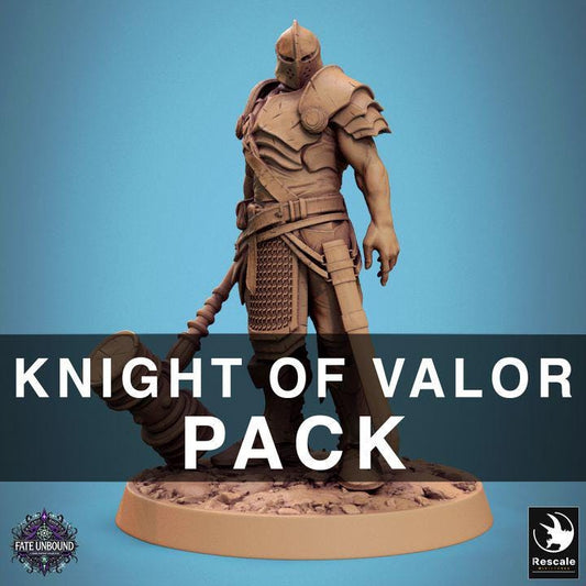 Pack Knight of Valor with WarHammer - 3D / Fantasía / El Señor de los Anillos / Dragones y Mazmorras / Pathfinder / DND / Miniatura