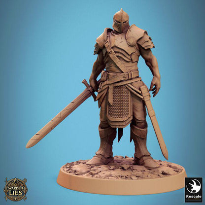 Pack Knight of Valor - 3D / Fantasía / El Señor de los Anillos / Dragones y Mazmorras / Pathfinder / DND / Miniatura