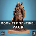 Moon Elf Sentinel with Swords – Resin miniatures pack, 32 mm