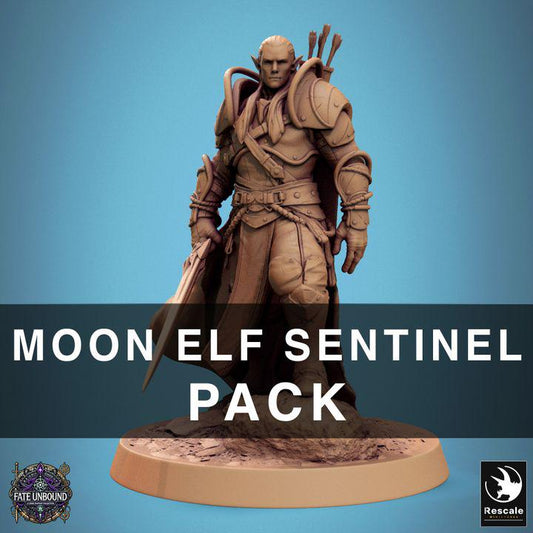 Pack Moon Elf Sentinel with Swords- 3D / Fantasía / El Señor de los Anillos / Dragones y Mazmorras / Pathfinder / DND / Miniatura