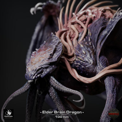 Elder Brain dragon Legendario - Impreso en 3D / Fantasía / El Señor de los Anillos / Dragones y Mazmorras / Pathfinder / DND / Miniatura