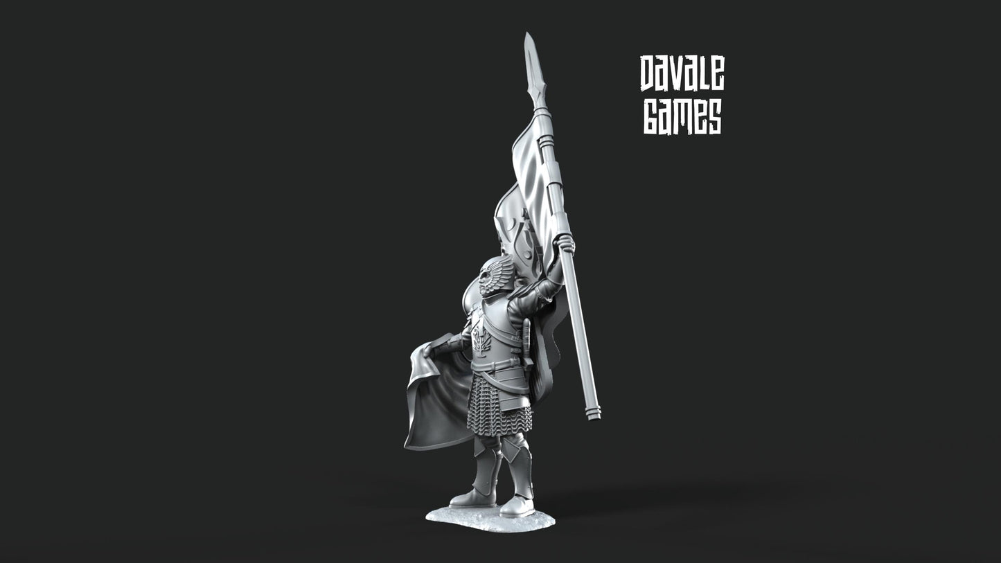 Soldado Abanderado Gondor - Tierra Media / LOTR / El Señor de los Anillos / Dragones y Mazmorras / Pathfinder / DND / Miniatura