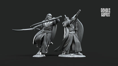 Altos Elfos Golorin & Rommul - Valinor / Tierra Media / LOTR / El Señor de los Anillos / Dragones y Mazmorras / Pathfinder / DND / Miniatura